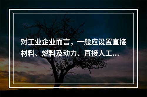 对工业企业而言，一般应设置直接材料、燃料及动力、直接人工、制