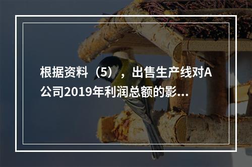 根据资料（5），出售生产线对A公司2019年利润总额的影响金