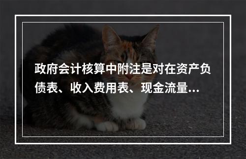 政府会计核算中附注是对在资产负债表、收入费用表、现金流量表等