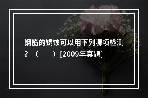 钢筋的锈蚀可以用下列哪项检测？（　　）[2009年真题]