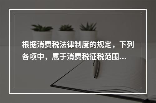 根据消费税法律制度的规定，下列各项中，属于消费税征税范围的有