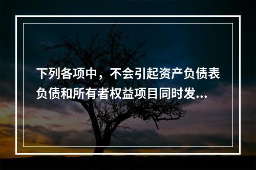 下列各项中，不会引起资产负债表负债和所有者权益项目同时发生变