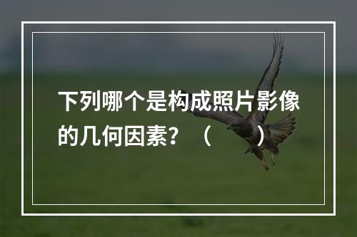 下列哪个是构成照片影像的几何因素？（　　）