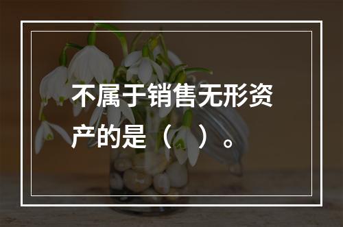 不属于销售无形资产的是（　）。