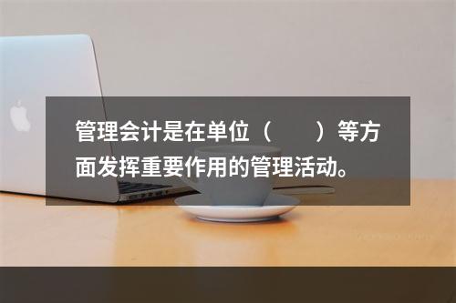 管理会计是在单位（　　）等方面发挥重要作用的管理活动。