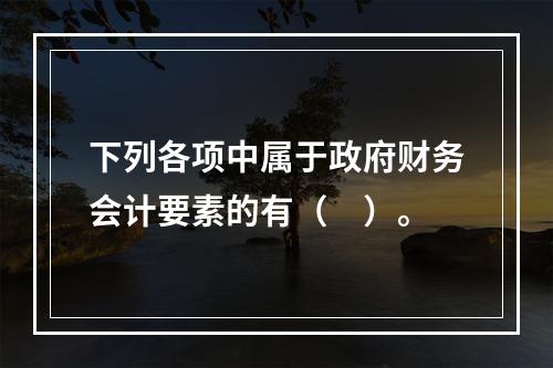 下列各项中属于政府财务会计要素的有（　）。