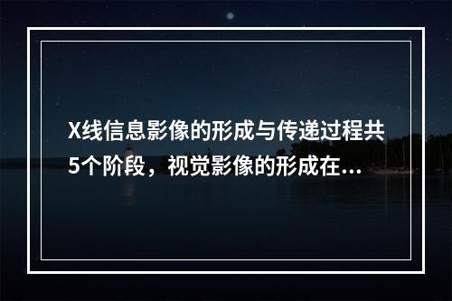 X线信息影像的形成与传递过程共5个阶段，视觉影像的形成在（　