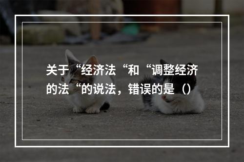 关于“经济法“和“调整经济的法“的说法，错误的是（）