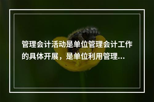 管理会计活动是单位管理会计工作的具体开展，是单位利用管理会计