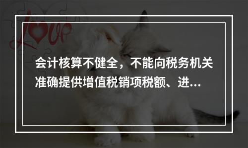 会计核算不健全，不能向税务机关准确提供增值税销项税额、进项税