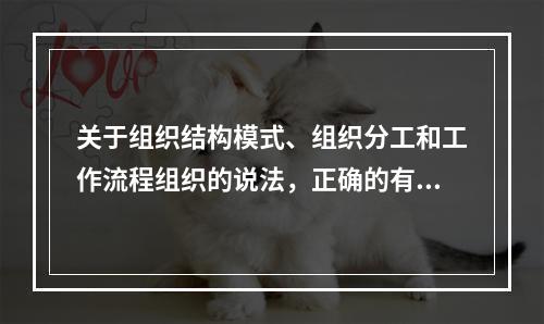 关于组织结构模式、组织分工和工作流程组织的说法，正确的有（　