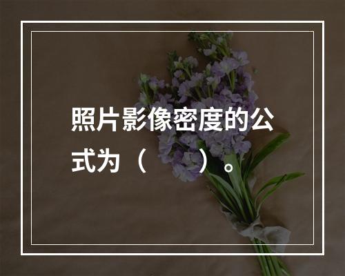 照片影像密度的公式为（　　）。