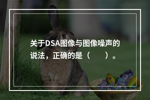 关于DSA图像与图像噪声的说法，正确的是（　　）。