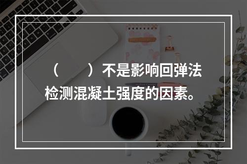 （　　）不是影响回弹法检测混凝土强度的因素。