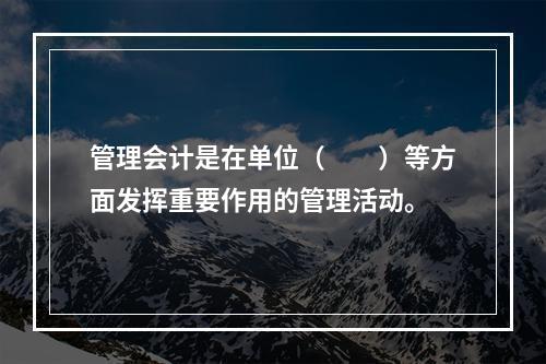 管理会计是在单位（　　）等方面发挥重要作用的管理活动。