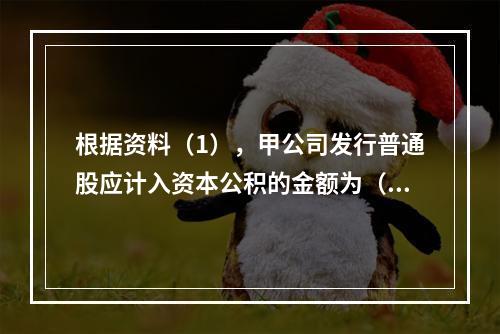 根据资料（1），甲公司发行普通股应计入资本公积的金额为（　）