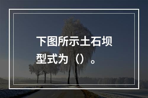 下图所示土石坝型式为（）。