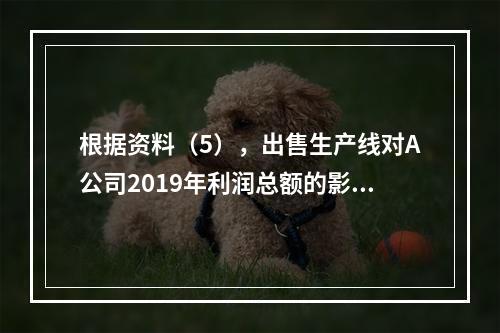 根据资料（5），出售生产线对A公司2019年利润总额的影响金