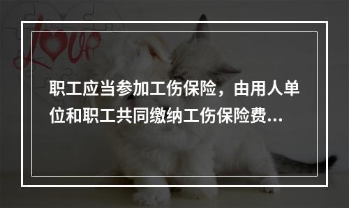 职工应当参加工伤保险，由用人单位和职工共同缴纳工伤保险费。（