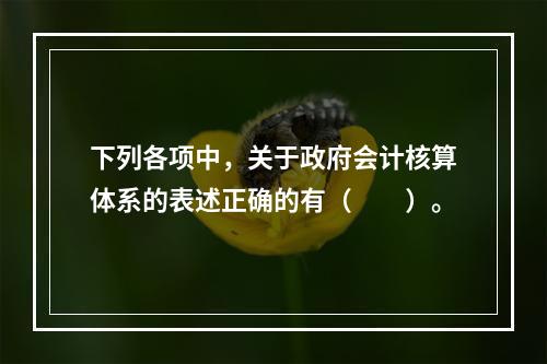 下列各项中，关于政府会计核算体系的表述正确的有（　　）。