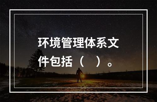 环境管理体系文件包括（　）。