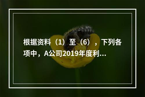 根据资料（1）至（6），下列各项中，A公司2019年度利润表