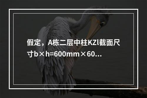 假定，A栋二层中柱KZl截面尺寸b×h=600mm×600m