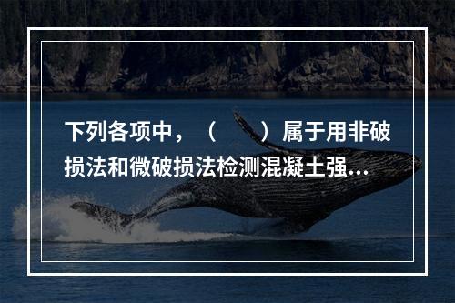 下列各项中，（　　）属于用非破损法和微破损法检测混凝土强度