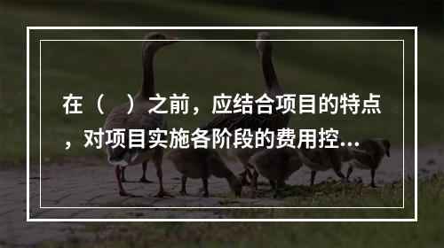 在（　）之前，应结合项目的特点，对项目实施各阶段的费用控制、