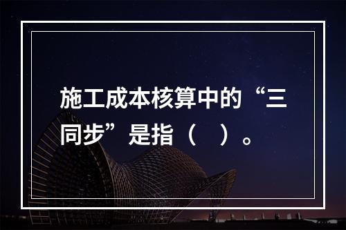 施工成本核算中的“三同步”是指（　）。