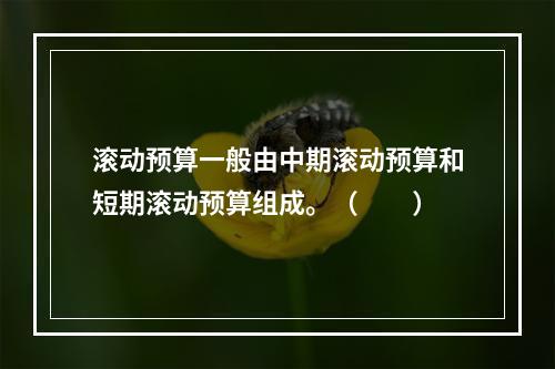 滚动预算一般由中期滚动预算和短期滚动预算组成。（　　）