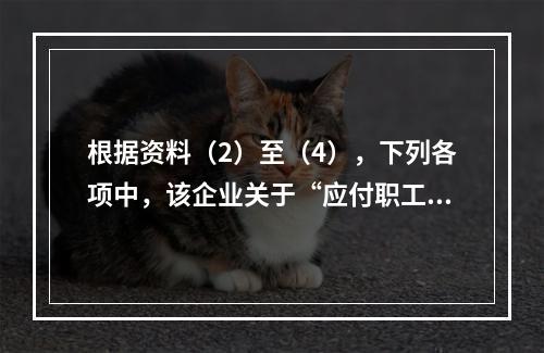 根据资料（2）至（4），下列各项中，该企业关于“应付职工薪酬