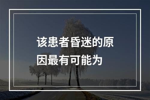 该患者昏迷的原因最有可能为