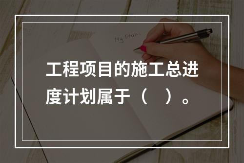 工程项目的施工总进度计划属于（　）。