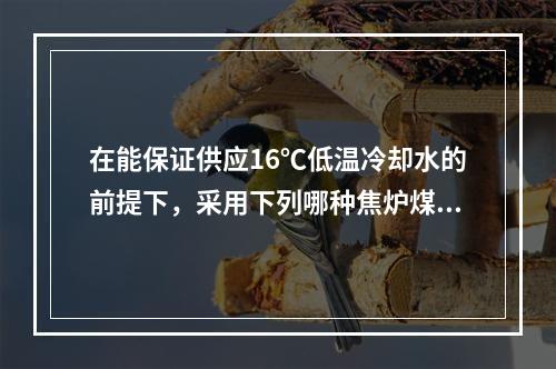 在能保证供应16℃低温冷却水的前提下，采用下列哪种焦炉煤气洗