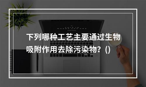 下列哪种工艺主要通过生物吸附作用去除污染物？()