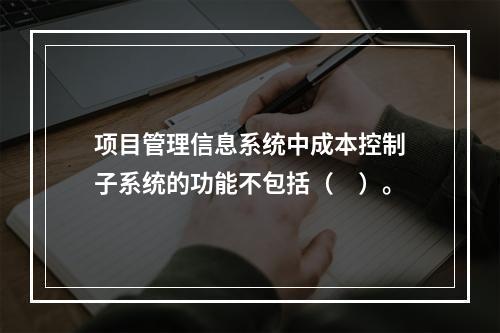 项目管理信息系统中成本控制子系统的功能不包括（　）。