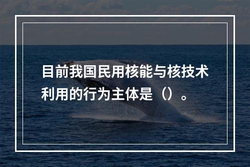 目前我国民用核能与核技术利用的行为主体是（）。