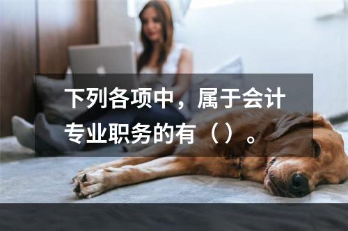 下列各项中，属于会计专业职务的有（ ）。