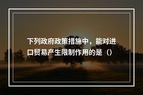 下列政府政策措施中，能对进口贸易产生限制作用的是（）