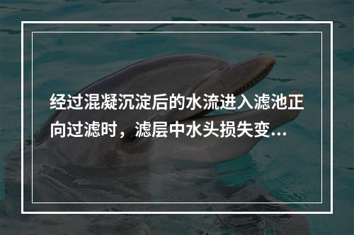 经过混凝沉淀后的水流进入滤池正向过滤时，滤层中水头损失变化速