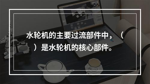 水轮机的主要过流部件中，（　）是水轮机的核心部件。