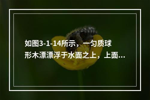 如图3-1-14所示，一匀质球形木漂漂浮于水面之上，上面切