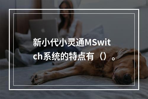 新小代小灵通MSwitch系统的特点有（）。