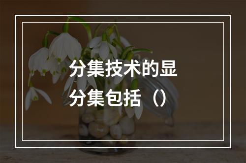 分集技术的显分集包括（）