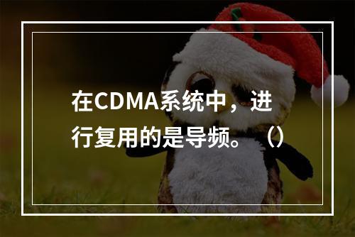 在CDMA系统中，进行复用的是导频。（）