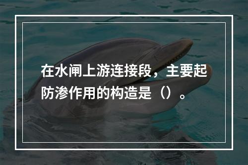 在水闸上游连接段，主要起防渗作用的构造是（）。