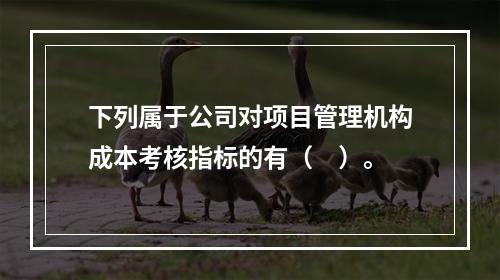 下列属于公司对项目管理机构成本考核指标的有（　）。