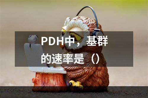 PDH中，基群的速率是（）