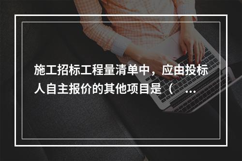 施工招标工程量清单中，应由投标人自主报价的其他项目是（　）。